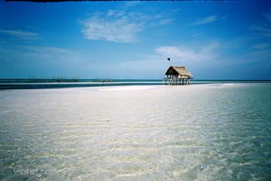 Die Strände auf Cayo Coco,_UW 06_04_B720
